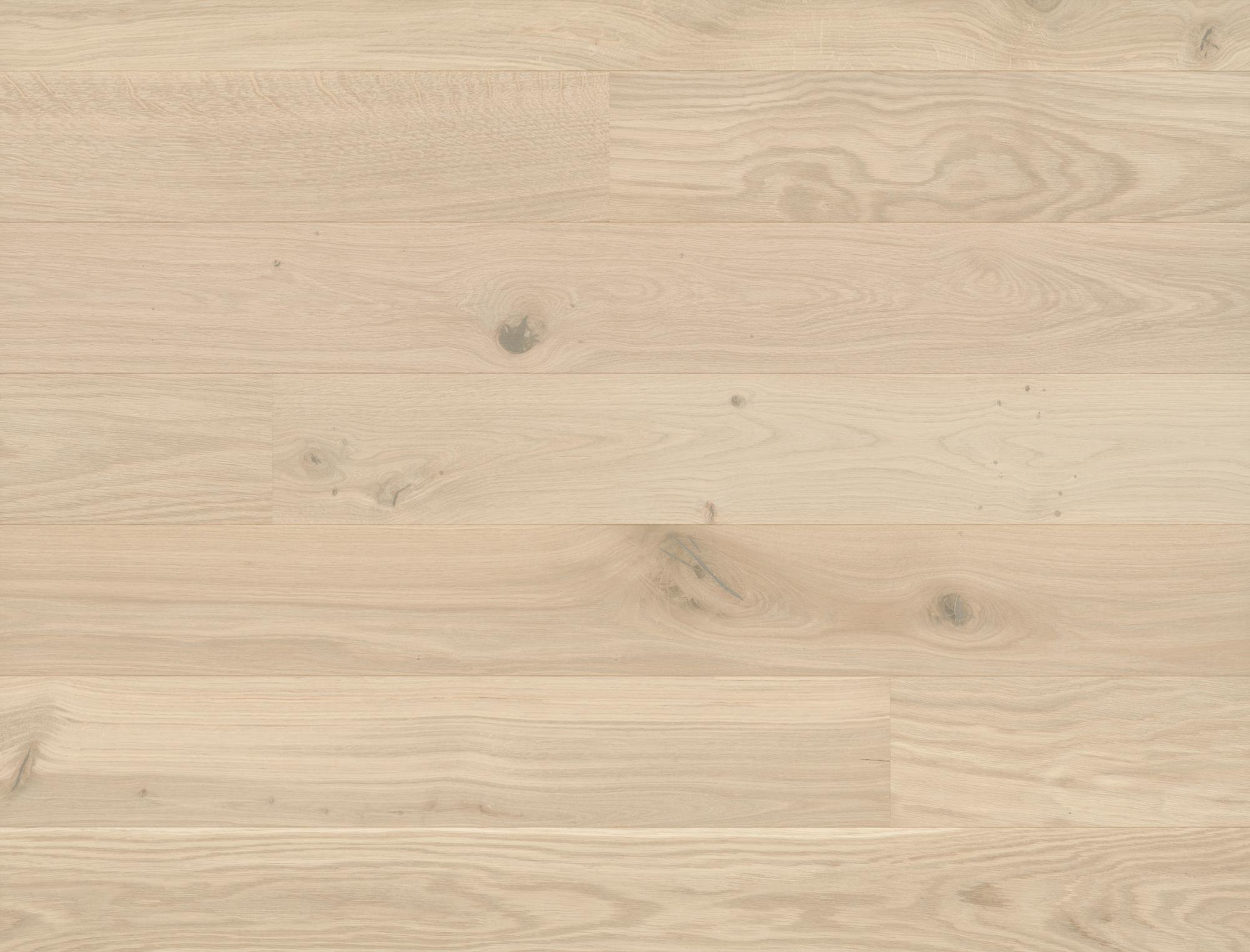 Studiopark | Oak | Farina