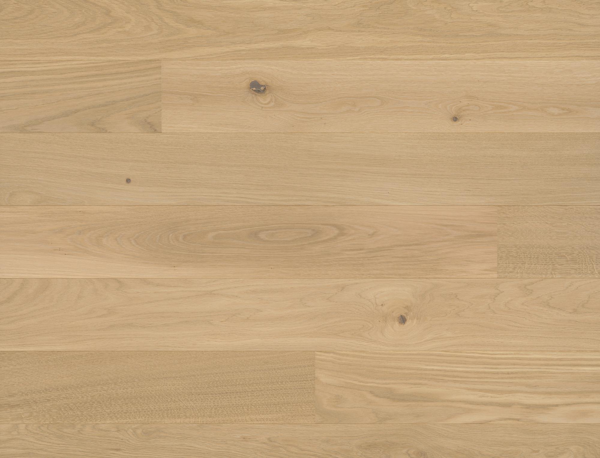 Studiopark | Eiche | Crema