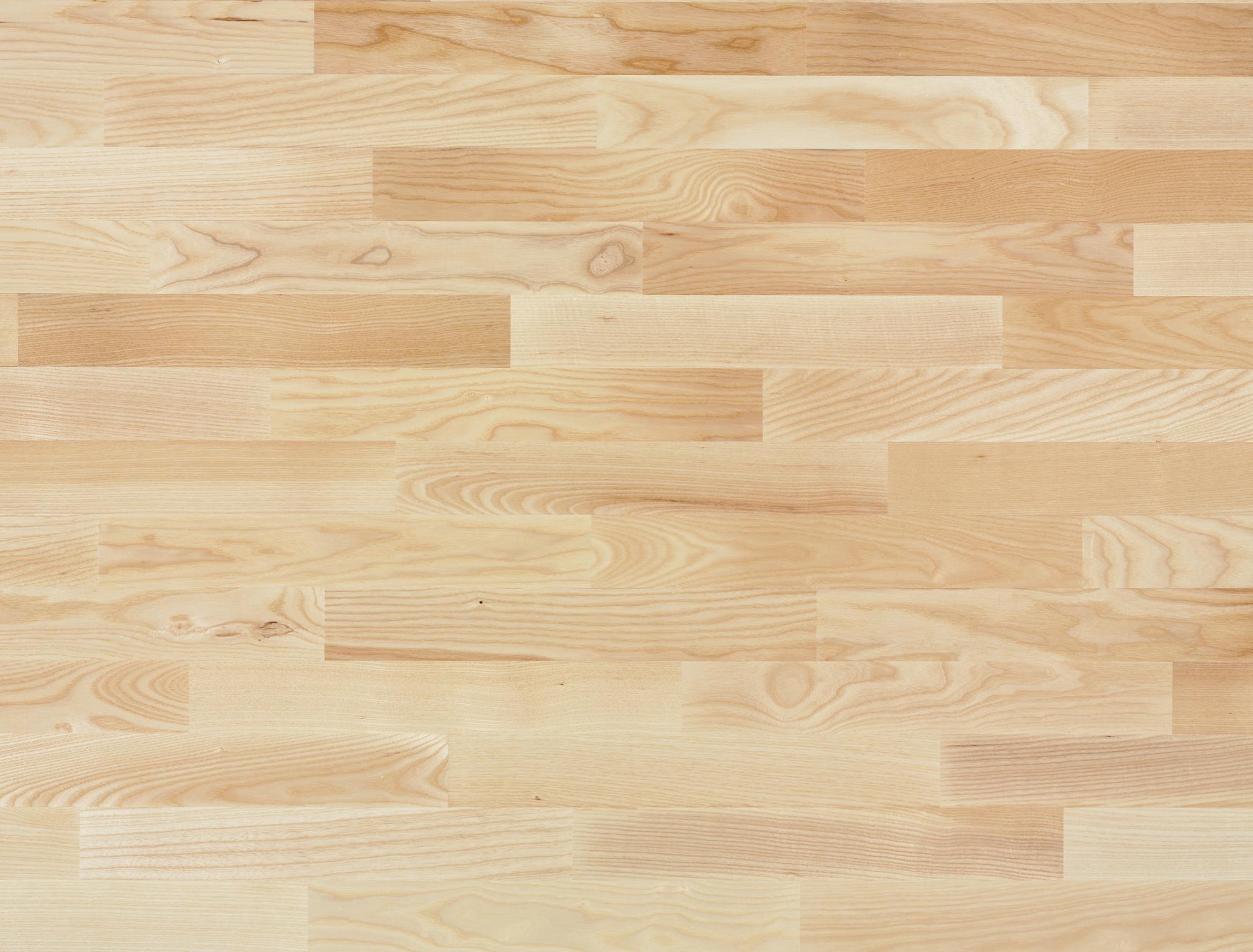 Monopark | R | Esche | NATURE